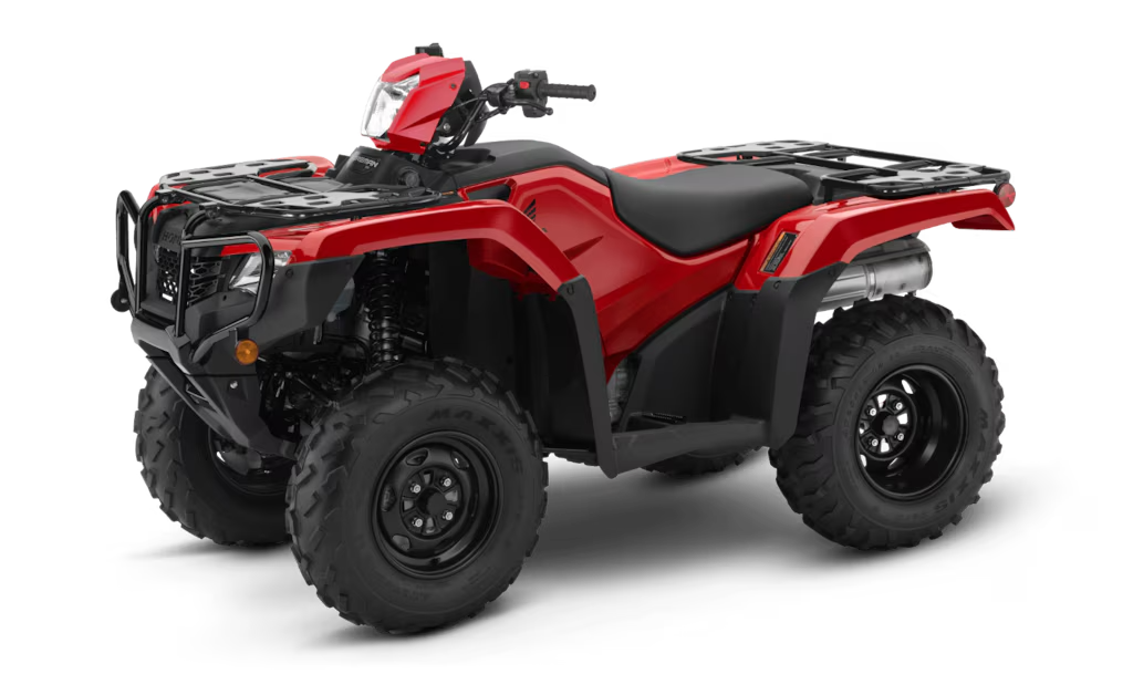 Model Image