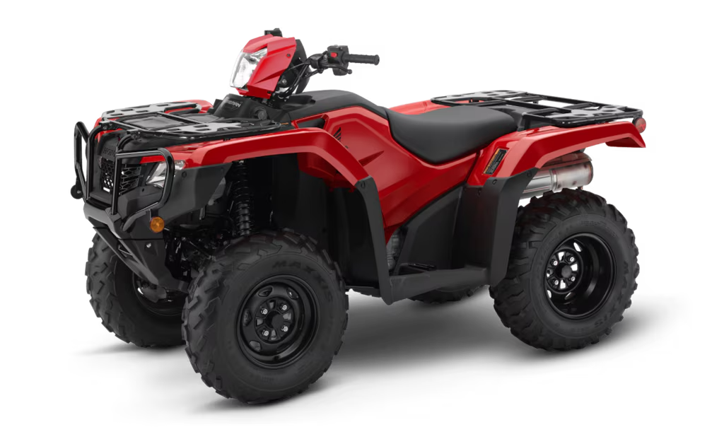 Model Image