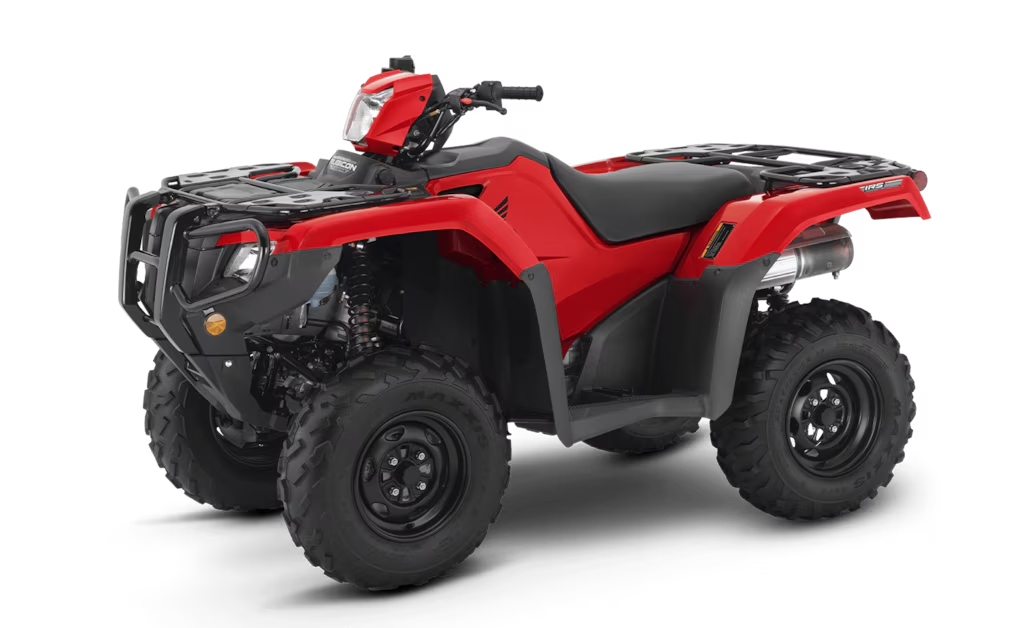 Model Image